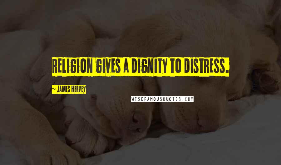 James Hervey Quotes: Religion gives a dignity to distress.