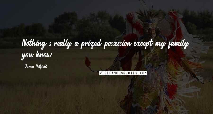 James Hetfield Quotes: Nothing's really a prized possession except my family, you know?