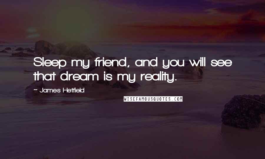 James Hetfield Quotes: Sleep my friend, and you will see that dream is my reality.