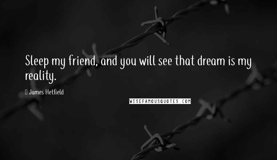 James Hetfield Quotes: Sleep my friend, and you will see that dream is my reality.