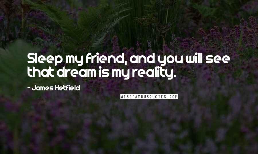 James Hetfield Quotes: Sleep my friend, and you will see that dream is my reality.