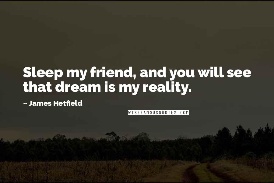 James Hetfield Quotes: Sleep my friend, and you will see that dream is my reality.