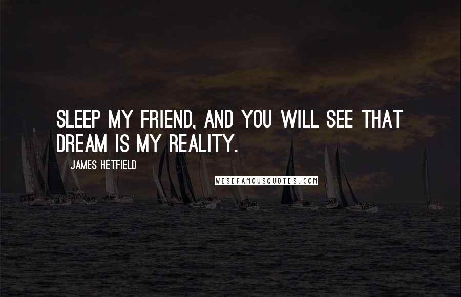 James Hetfield Quotes: Sleep my friend, and you will see that dream is my reality.