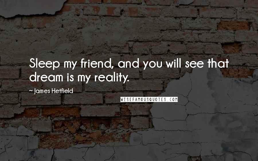 James Hetfield Quotes: Sleep my friend, and you will see that dream is my reality.