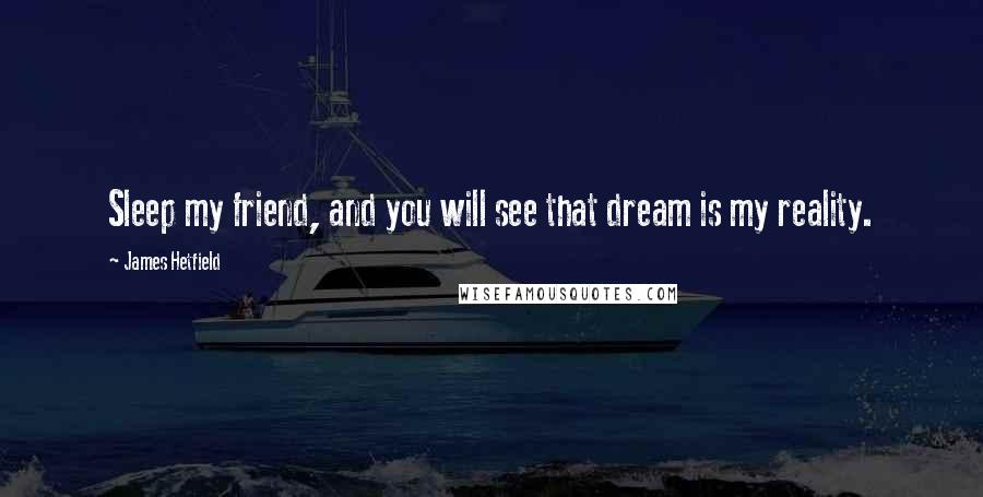 James Hetfield Quotes: Sleep my friend, and you will see that dream is my reality.