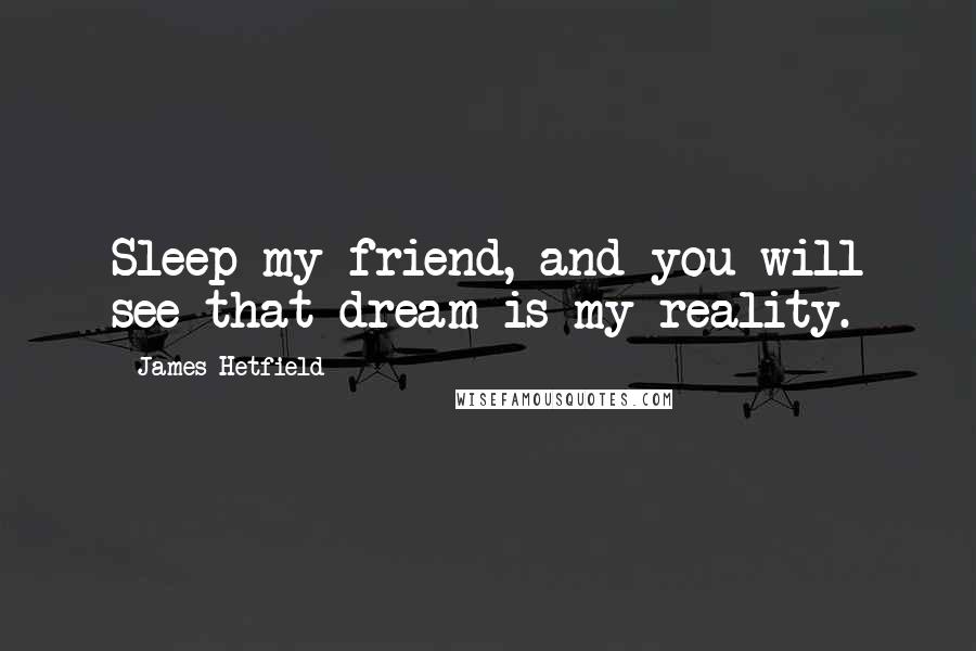 James Hetfield Quotes: Sleep my friend, and you will see that dream is my reality.