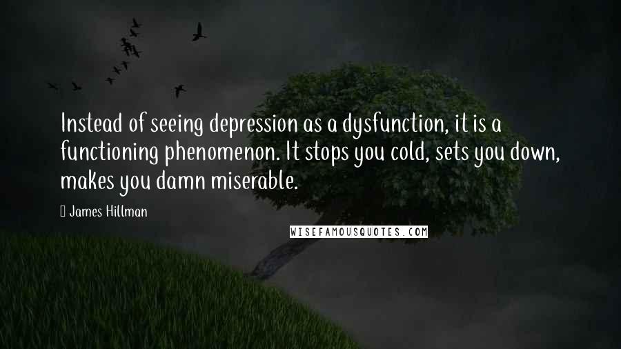 James Hillman Quotes: Instead of seeing depression as a dysfunction, it is a functioning phenomenon. It stops you cold, sets you down, makes you damn miserable.