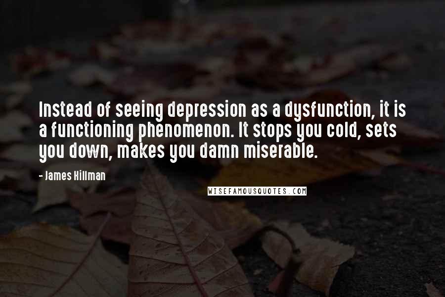 James Hillman Quotes: Instead of seeing depression as a dysfunction, it is a functioning phenomenon. It stops you cold, sets you down, makes you damn miserable.