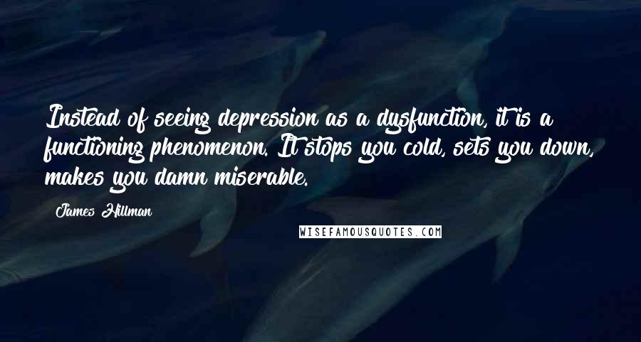 James Hillman Quotes: Instead of seeing depression as a dysfunction, it is a functioning phenomenon. It stops you cold, sets you down, makes you damn miserable.
