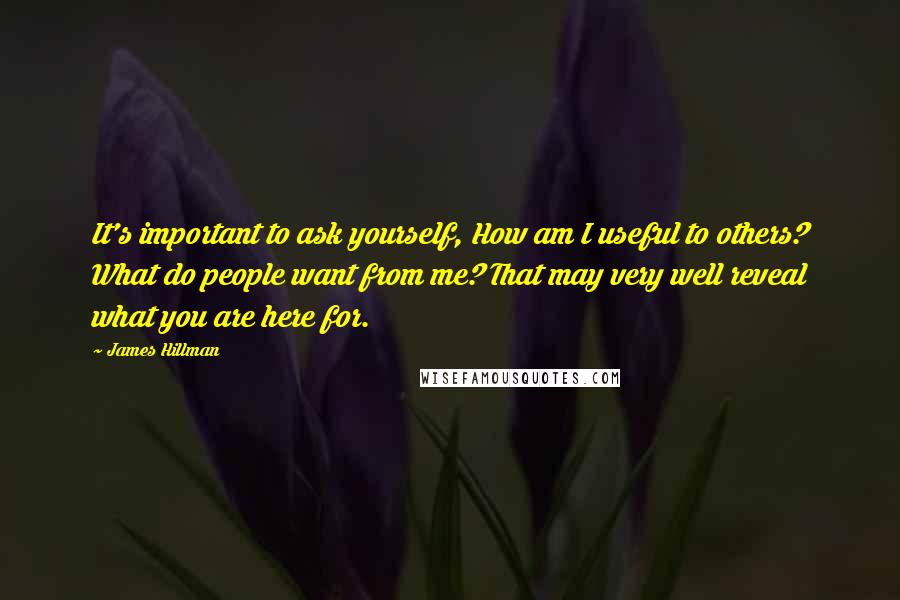 James Hillman Quotes: It's important to ask yourself, How am I useful to others? What do people want from me? That may very well reveal what you are here for.