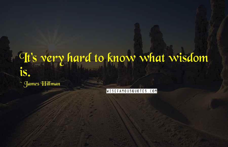 James Hillman Quotes: It's very hard to know what wisdom is.