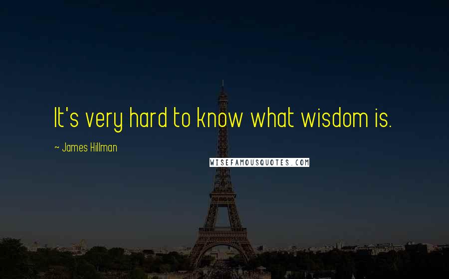 James Hillman Quotes: It's very hard to know what wisdom is.