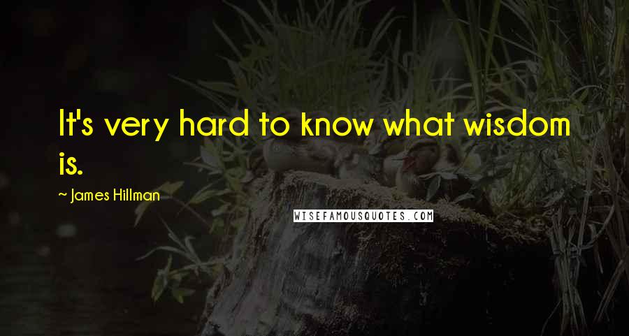 James Hillman Quotes: It's very hard to know what wisdom is.