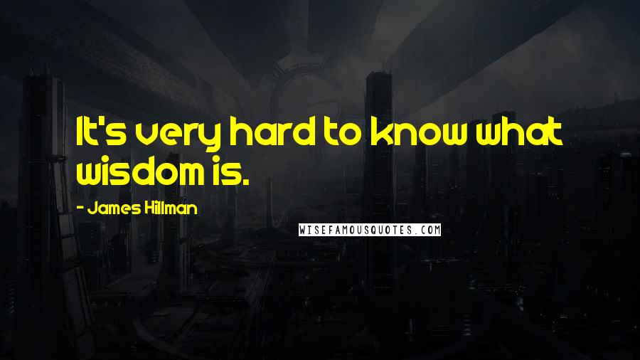 James Hillman Quotes: It's very hard to know what wisdom is.