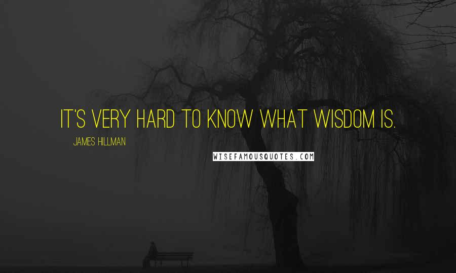 James Hillman Quotes: It's very hard to know what wisdom is.