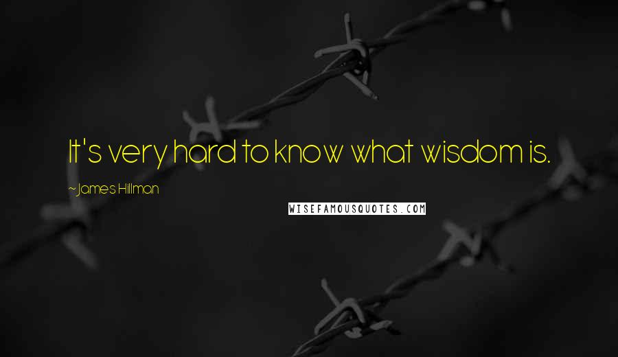 James Hillman Quotes: It's very hard to know what wisdom is.