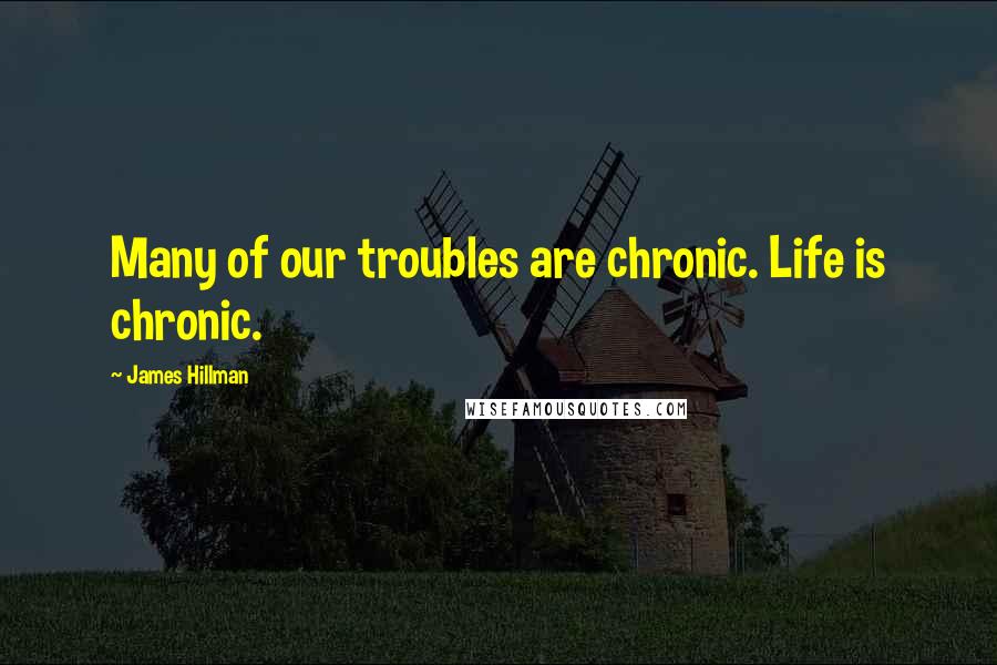 James Hillman Quotes: Many of our troubles are chronic. Life is chronic.