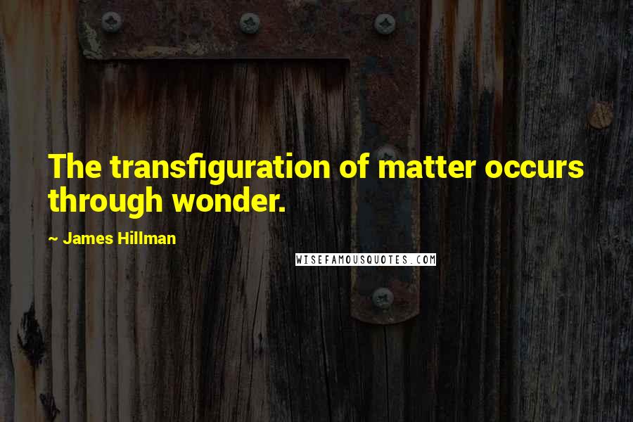 James Hillman Quotes: The transfiguration of matter occurs through wonder.