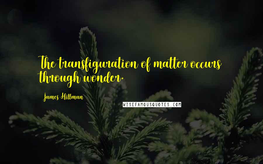 James Hillman Quotes: The transfiguration of matter occurs through wonder.