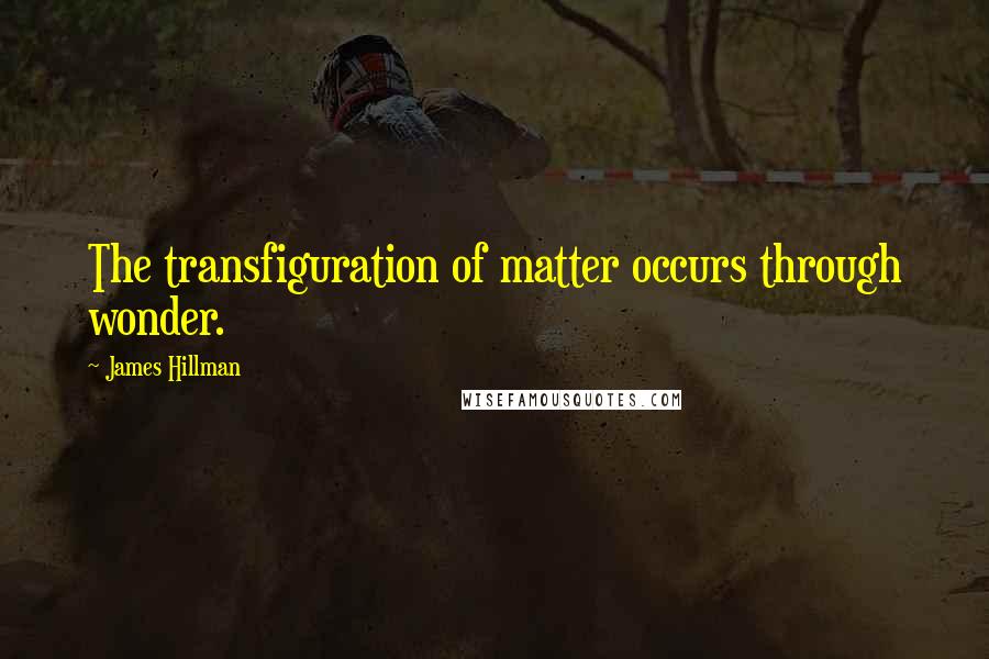 James Hillman Quotes: The transfiguration of matter occurs through wonder.