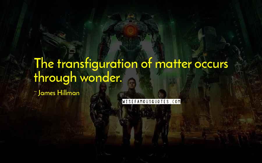 James Hillman Quotes: The transfiguration of matter occurs through wonder.
