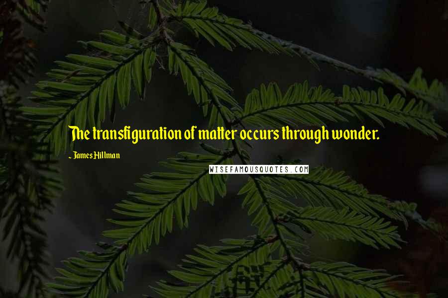 James Hillman Quotes: The transfiguration of matter occurs through wonder.