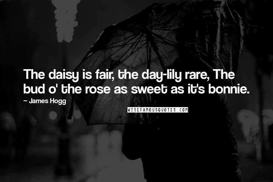 James Hogg Quotes: The daisy is fair, the day-lily rare, The bud o' the rose as sweet as it's bonnie.