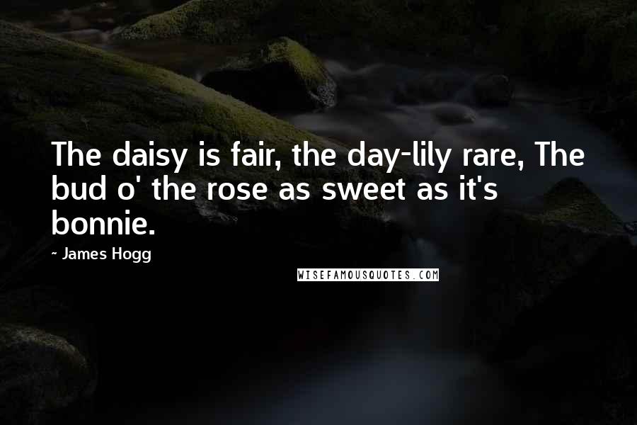 James Hogg Quotes: The daisy is fair, the day-lily rare, The bud o' the rose as sweet as it's bonnie.