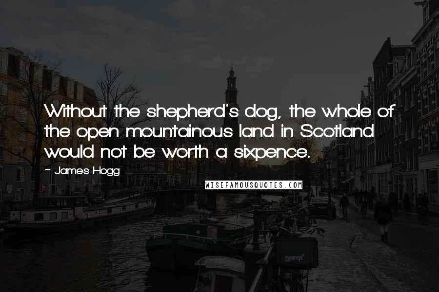 James Hogg Quotes: Without the shepherd's dog, the whole of the open mountainous land in Scotland would not be worth a sixpence.