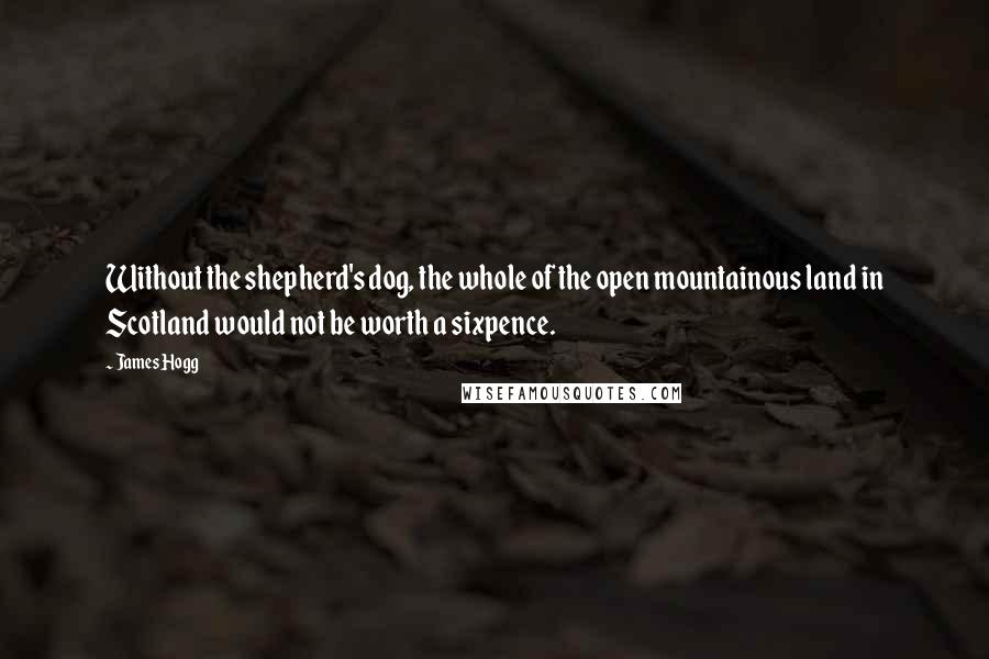 James Hogg Quotes: Without the shepherd's dog, the whole of the open mountainous land in Scotland would not be worth a sixpence.