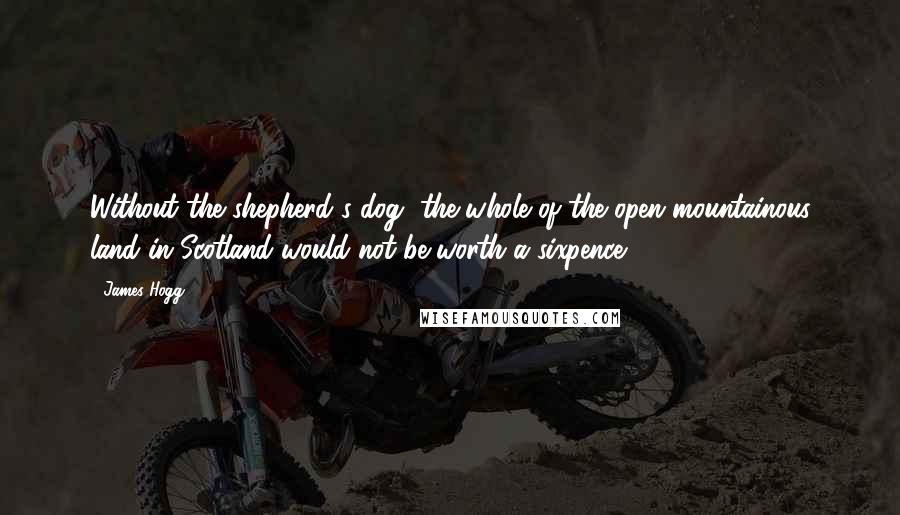 James Hogg Quotes: Without the shepherd's dog, the whole of the open mountainous land in Scotland would not be worth a sixpence.