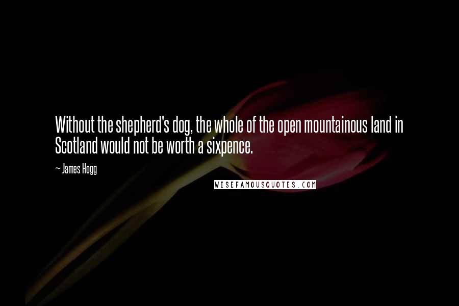 James Hogg Quotes: Without the shepherd's dog, the whole of the open mountainous land in Scotland would not be worth a sixpence.
