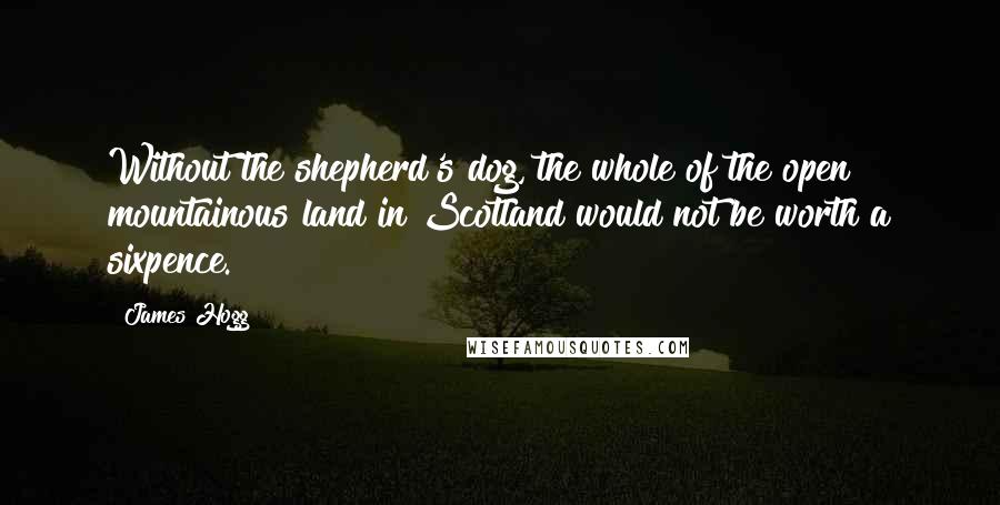 James Hogg Quotes: Without the shepherd's dog, the whole of the open mountainous land in Scotland would not be worth a sixpence.