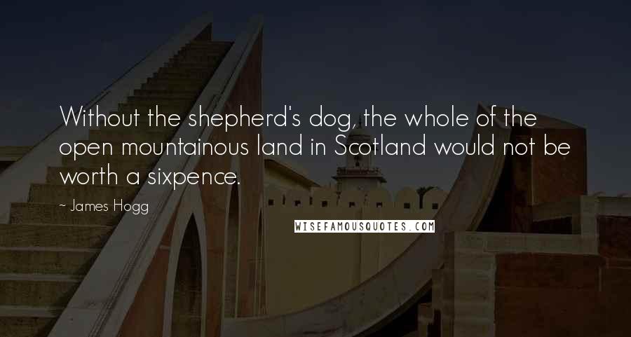 James Hogg Quotes: Without the shepherd's dog, the whole of the open mountainous land in Scotland would not be worth a sixpence.