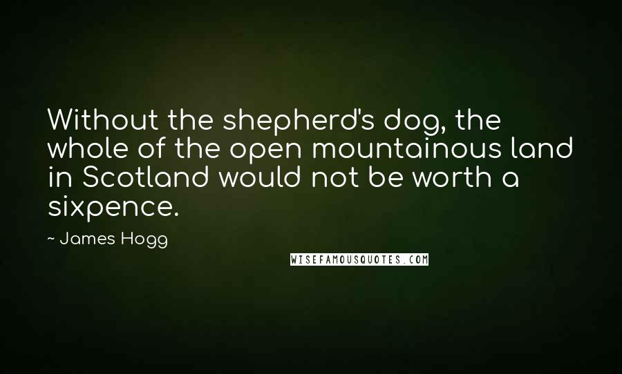 James Hogg Quotes: Without the shepherd's dog, the whole of the open mountainous land in Scotland would not be worth a sixpence.