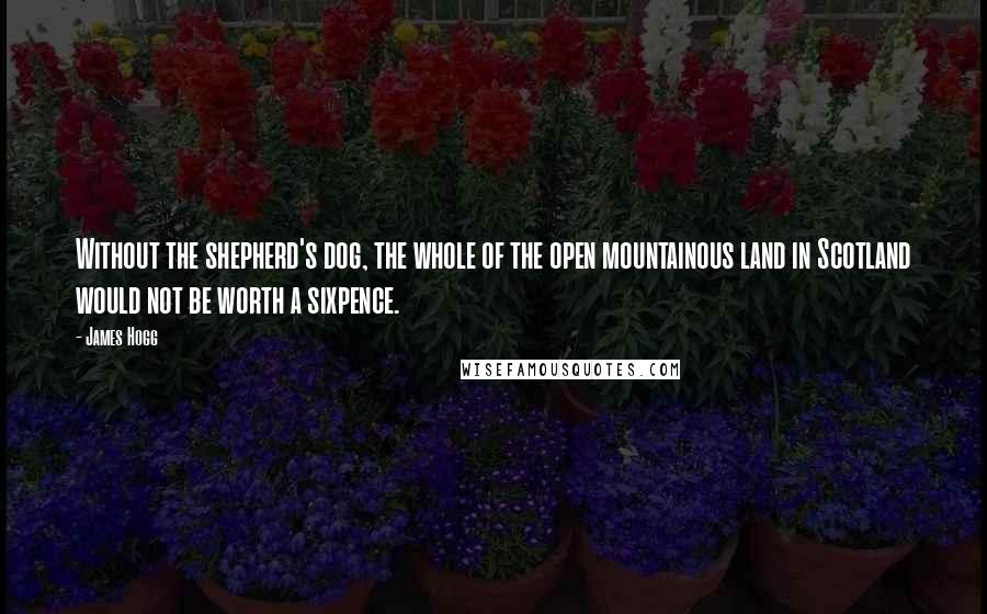 James Hogg Quotes: Without the shepherd's dog, the whole of the open mountainous land in Scotland would not be worth a sixpence.