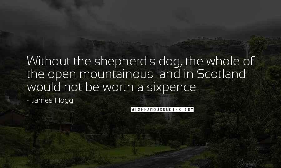 James Hogg Quotes: Without the shepherd's dog, the whole of the open mountainous land in Scotland would not be worth a sixpence.