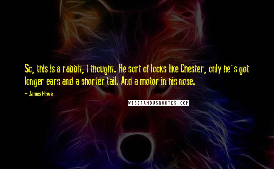 James Howe Quotes: So, this is a rabbit, I thought. He sort of looks like Chester, only he's got longer ears and a shorter tail. And a motor in his nose.