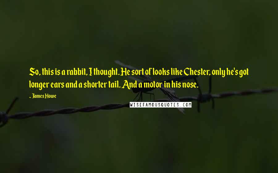 James Howe Quotes: So, this is a rabbit, I thought. He sort of looks like Chester, only he's got longer ears and a shorter tail. And a motor in his nose.