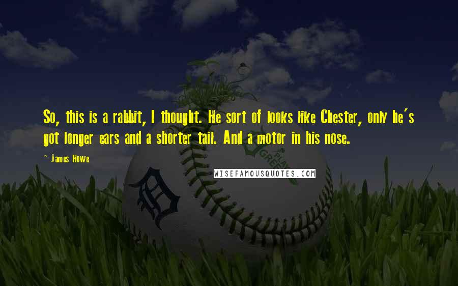 James Howe Quotes: So, this is a rabbit, I thought. He sort of looks like Chester, only he's got longer ears and a shorter tail. And a motor in his nose.