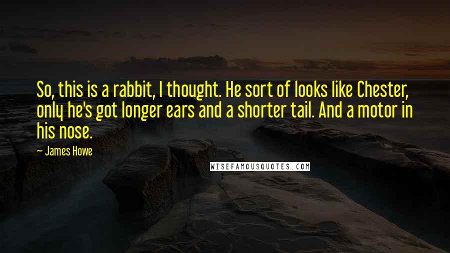 James Howe Quotes: So, this is a rabbit, I thought. He sort of looks like Chester, only he's got longer ears and a shorter tail. And a motor in his nose.