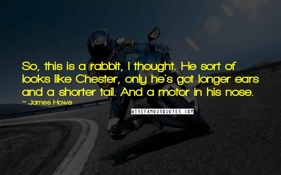 James Howe Quotes: So, this is a rabbit, I thought. He sort of looks like Chester, only he's got longer ears and a shorter tail. And a motor in his nose.