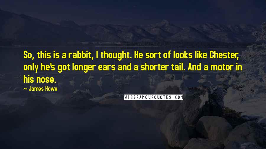 James Howe Quotes: So, this is a rabbit, I thought. He sort of looks like Chester, only he's got longer ears and a shorter tail. And a motor in his nose.