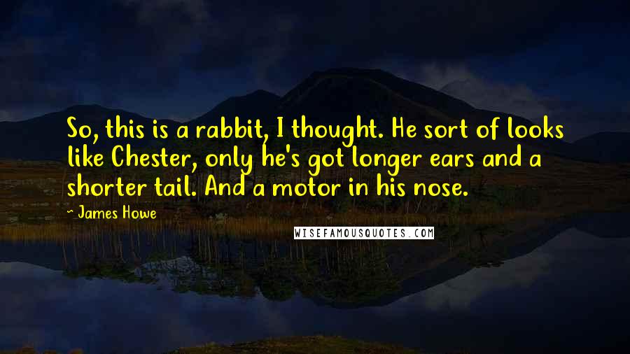 James Howe Quotes: So, this is a rabbit, I thought. He sort of looks like Chester, only he's got longer ears and a shorter tail. And a motor in his nose.