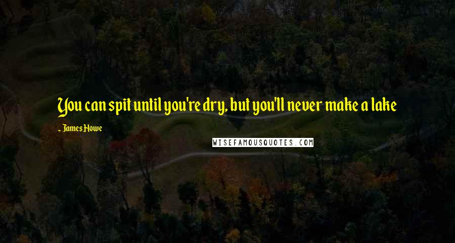 James Howe Quotes: You can spit until you're dry, but you'll never make a lake