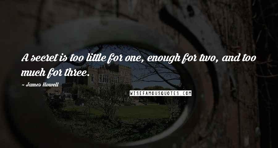 James Howell Quotes: A secret is too little for one, enough for two, and too much for three.