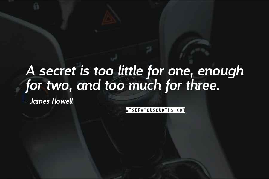 James Howell Quotes: A secret is too little for one, enough for two, and too much for three.