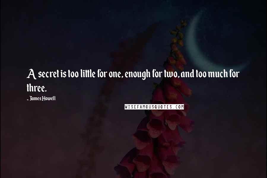 James Howell Quotes: A secret is too little for one, enough for two, and too much for three.