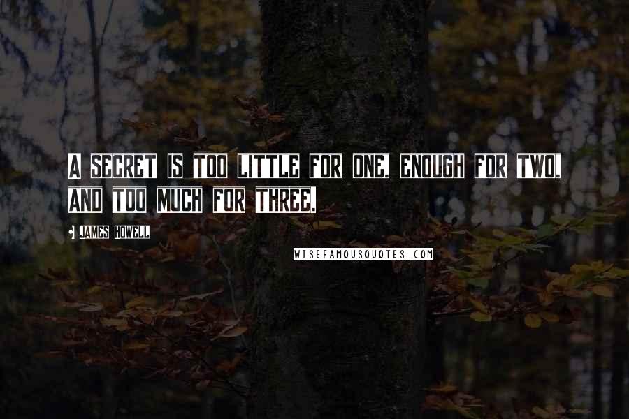 James Howell Quotes: A secret is too little for one, enough for two, and too much for three.
