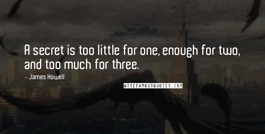 James Howell Quotes: A secret is too little for one, enough for two, and too much for three.